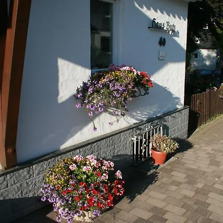 Haus Butz 3* Winterberg