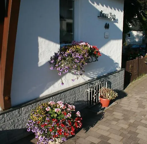 Haus Butz 3* Βίντερμπεργκ