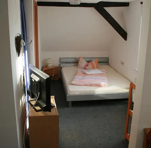 Haus Butz Pensjonat Winterberg